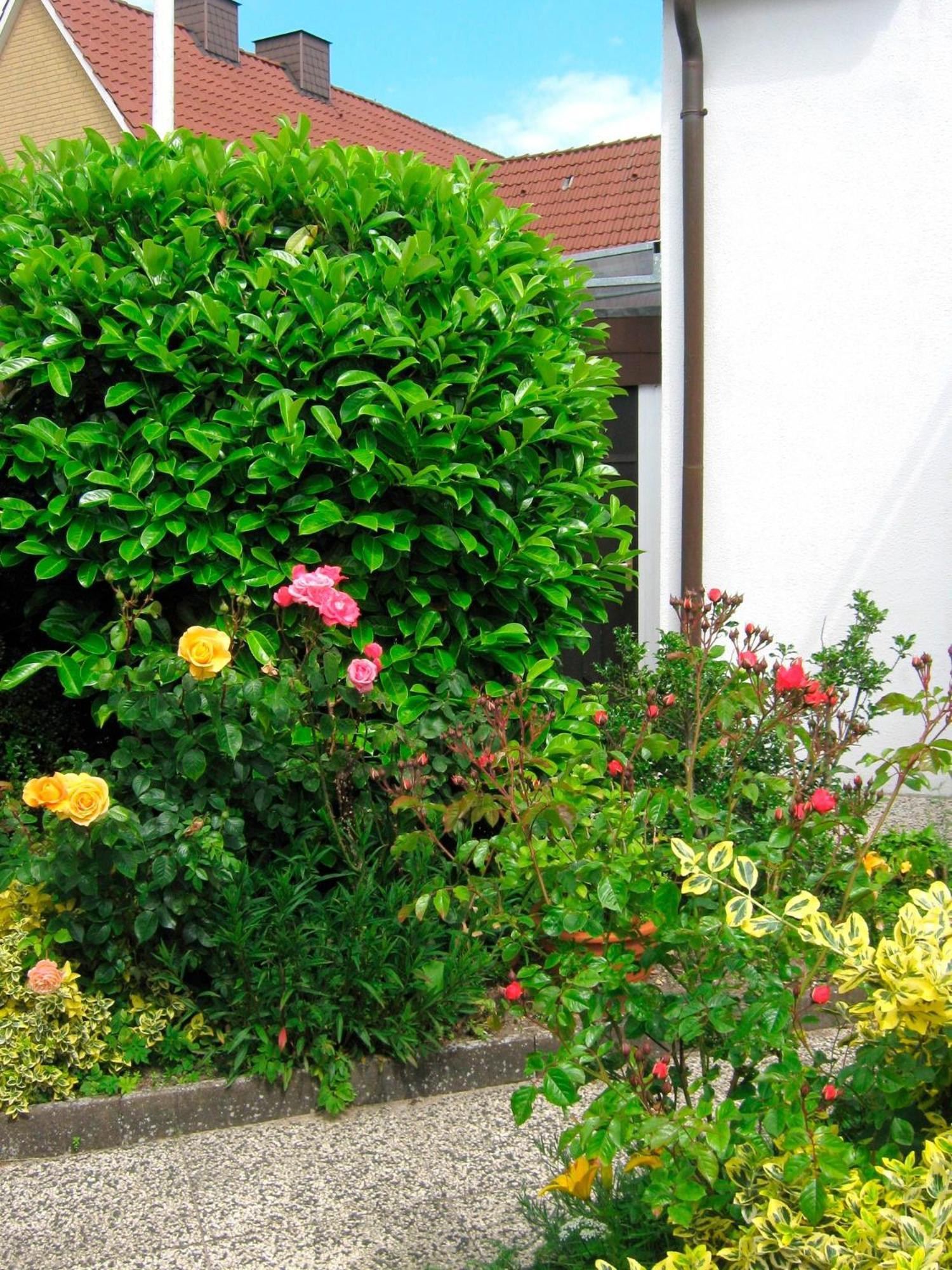 Ferienhaus Marina II - Whg 2 Grömitz Extérieur photo